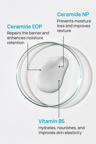 Barrier Repair Cream With 0.5% Vitamin B5 & 1% Ceramides
