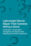 Barrier Repair Serum
