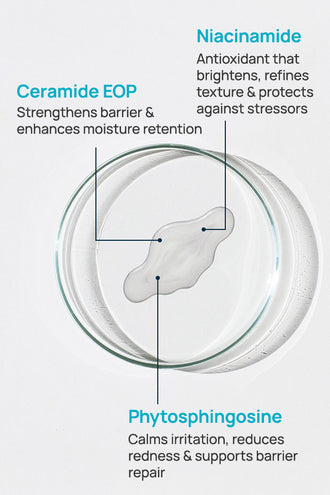 Barrier Revitalizing Lotion With 0.5% Phytospingosine & 1% Ceramides