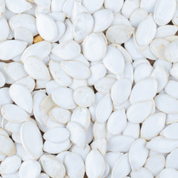 Camphor