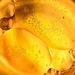 Sunflower Seed Oil