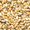 Wheat Germ Oil